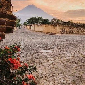 Meet your Posher, Micaela